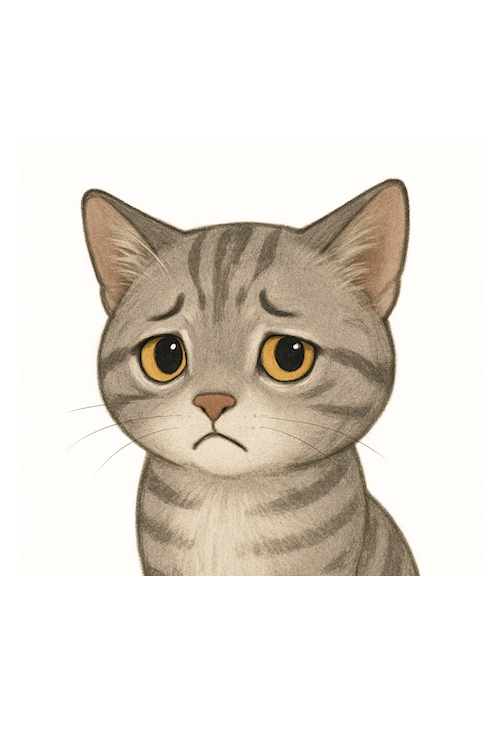 迷える猫