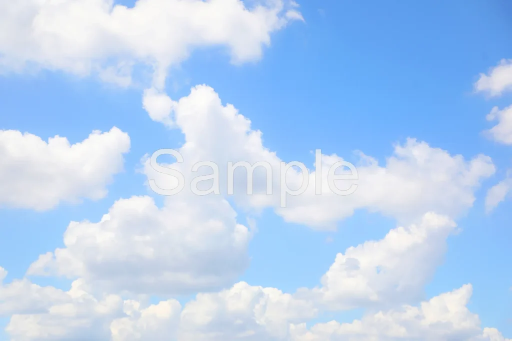 ウォーターマークが入った画像のイメージ